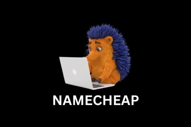 Why NameCheap Rocks for Domain Names